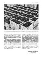giornale/UM10003065/1945-1946/unico/00000126