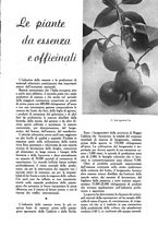 giornale/UM10003065/1945-1946/unico/00000127