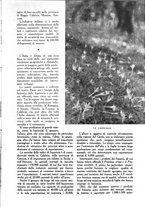 giornale/UM10003065/1945-1946/unico/00000129
