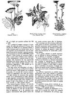giornale/UM10003065/1945-1946/unico/00000130