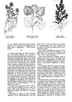 giornale/UM10003065/1945-1946/unico/00000131