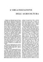 giornale/UM10003065/1945-1946/unico/00000133