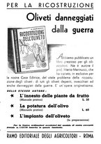 giornale/UM10003065/1945-1946/unico/00000145