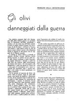 giornale/UM10003065/1945-1946/unico/00000157
