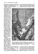 giornale/UM10003065/1945-1946/unico/00000159