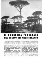 giornale/UM10003065/1945-1946/unico/00000161