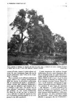 giornale/UM10003065/1945-1946/unico/00000163