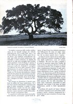giornale/UM10003065/1945-1946/unico/00000168