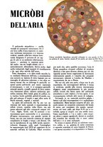 giornale/UM10003065/1945-1946/unico/00000173