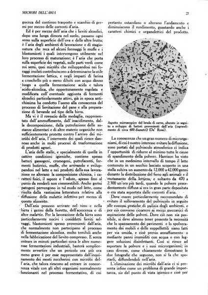 L'Italia agricola