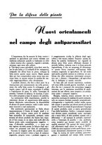 giornale/UM10003065/1945-1946/unico/00000177