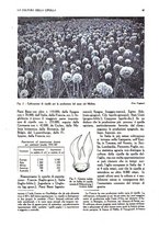 giornale/UM10003065/1945-1946/unico/00000195