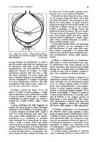 giornale/UM10003065/1945-1946/unico/00000197