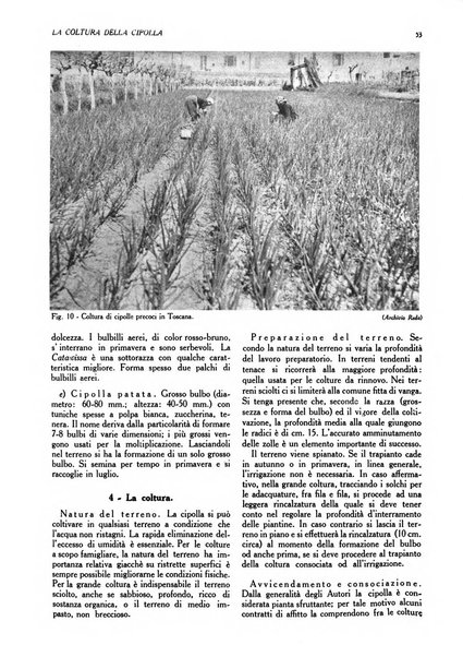 L'Italia agricola