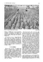 giornale/UM10003065/1945-1946/unico/00000201