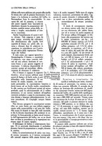 giornale/UM10003065/1945-1946/unico/00000203