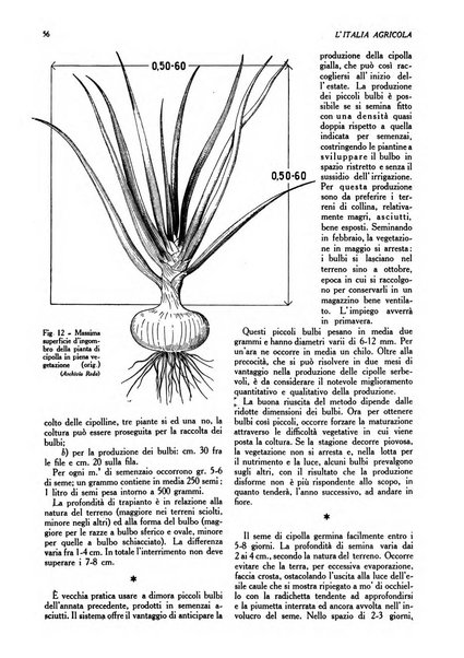 L'Italia agricola