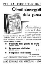 giornale/UM10003065/1945-1946/unico/00000223