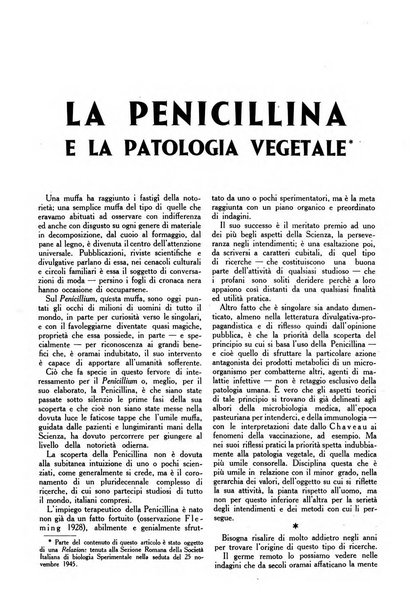 L'Italia agricola