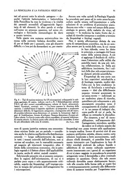 L'Italia agricola