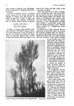 giornale/UM10003065/1945-1946/unico/00000256