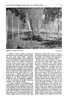 giornale/UM10003065/1945-1946/unico/00000257