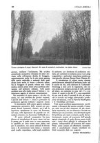giornale/UM10003065/1945-1946/unico/00000258