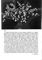 giornale/UM10003065/1945-1946/unico/00000268