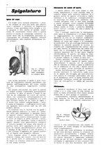 giornale/UM10003065/1945-1946/unico/00000298