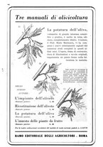 giornale/UM10003065/1945-1946/unico/00000300