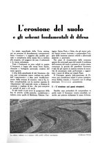 giornale/UM10003065/1945-1946/unico/00000311