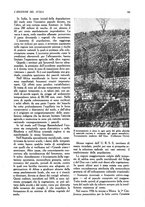 giornale/UM10003065/1945-1946/unico/00000313