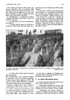 giornale/UM10003065/1945-1946/unico/00000317