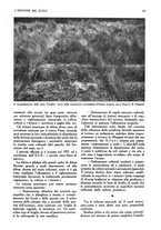 giornale/UM10003065/1945-1946/unico/00000319