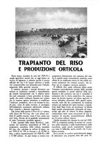 giornale/UM10003065/1945-1946/unico/00000321