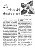 giornale/UM10003065/1945-1946/unico/00000323