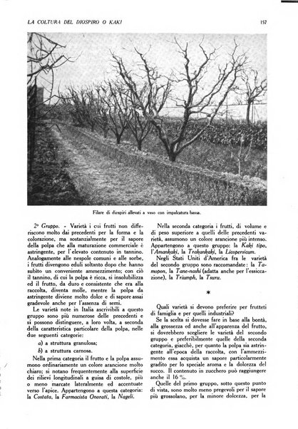 L'Italia agricola