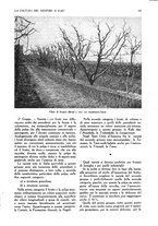 giornale/UM10003065/1945-1946/unico/00000325