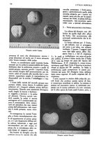 giornale/UM10003065/1945-1946/unico/00000326