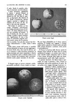 giornale/UM10003065/1945-1946/unico/00000327