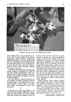giornale/UM10003065/1945-1946/unico/00000329
