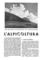 giornale/UM10003065/1945-1946/unico/00000337