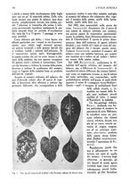 giornale/UM10003065/1945-1946/unico/00000344