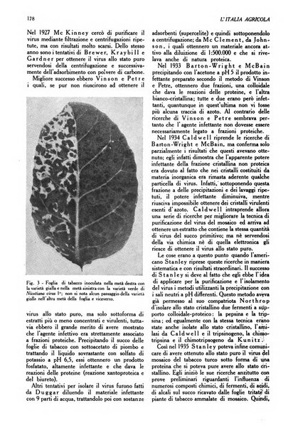 L'Italia agricola