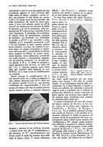giornale/UM10003065/1945-1946/unico/00000347
