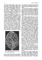giornale/UM10003065/1945-1946/unico/00000348