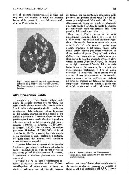 L'Italia agricola