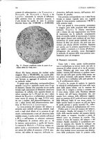 giornale/UM10003065/1945-1946/unico/00000354