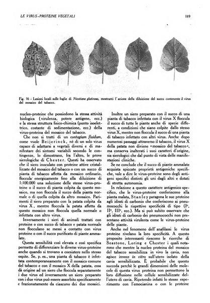 L'Italia agricola