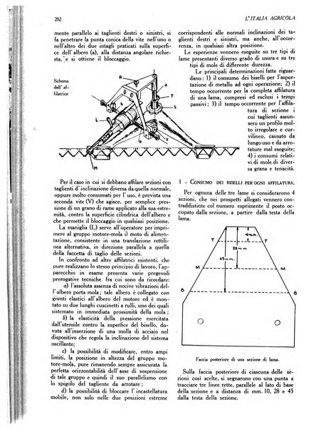 L'Italia agricola